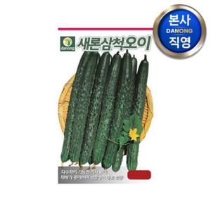 새론삼척 오이 씨앗 50립 . 야채 채소 텃밭 파종 재배 주말 농장 씨 종자.