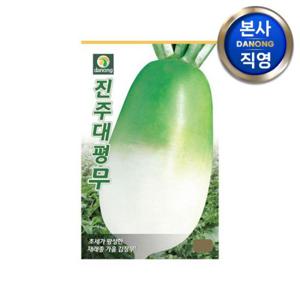 진주대평 무씨앗 15g . 야채 채소 텃밭 파종 재배 주말 농장 씨 종자.