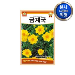금계국 씨앗 200립 . 야생화 식물 파종 재배 꽃씨 종자 정원 조경 화단 꾸미기.