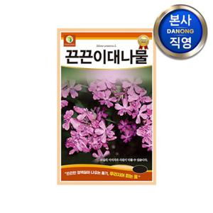 끈끈이대나물꽃 씨앗 1g . 조경 정원 화단 꽃밭 관상용 야생화 꾸미기 꽃씨 종자.