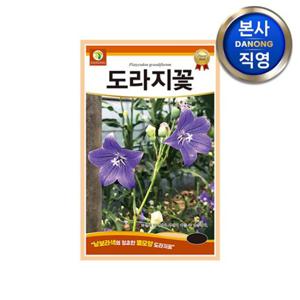 도라지꽃 씨앗 3g . 길경 조경 정원 화단 꽃밭 야생화 꾸미기 꽃씨 종자.
