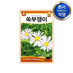 쑥부쟁이꽃 씨앗 1.5g . 조경 정원 화단 꽃밭 관상용 야생화 키우기 꽃씨 종자.
