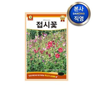 접시꽃 씨앗 1.5g . 촉규화 접중화 조경 정원 화단 관상용 야생화 꽃씨 종자.