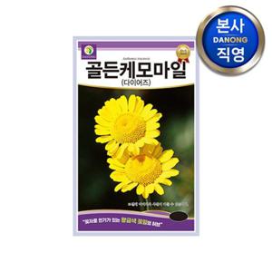 골든 케모마일 씨앗 1g . 다이어즈 카모 캐모 마일 베란다 텃밭 허브 꽃씨 종자.