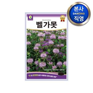 벨가못 씨앗 1000립 . 베르가못 벨가못트 버가못 모나르다 허브 심기 꽃씨 종자.
