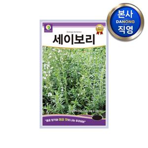 썸머 세이보리 씨앗 1g . 정원 텃밭 화단 허브 식물 파종 키우기 꽃씨 종자.