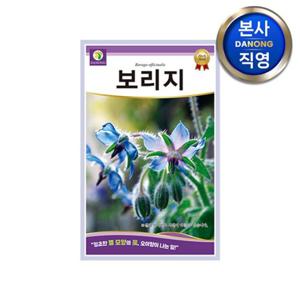 보리지 허브 씨앗 1g . 정원 텃밭 화단 예쁜 식물 파종 키우기 꽃씨 종자.
