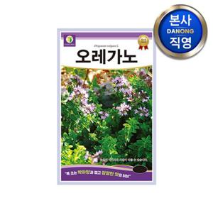 오레가노 허브 씨앗 3000립 . 꽃박하 정원 텃밭 식물 재배 키우기 꽃씨 종자.