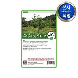 헛개 나무 씨앗 20g . 수목 식물 씨 종자.