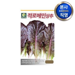 적로메인 상추 씨앗 2000립 . 야채 채소 텃밭 파종 재배 주말 농장 씨 종자.