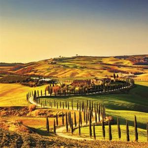 500피스 투스카니의 세이나 점토길 직소퍼즐 500조각