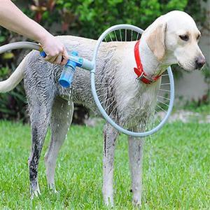 랜덤1개 펫 강아지 타올 쥬쥬베 타올