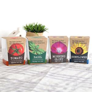 꿈쟁이 투톤 사각화분 방울토마토