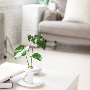 몬스테라 조화 센터피스 수반 화분 set 25cm 인테리어 식물 조경 테이블 장식