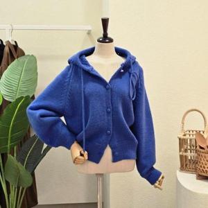 [포커스]FW5J3KC31699_펀칭 포인트 후드 가디건