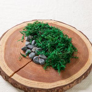 인조 청이끼 테라리움 소 (100g) 인테리어 장식 소품