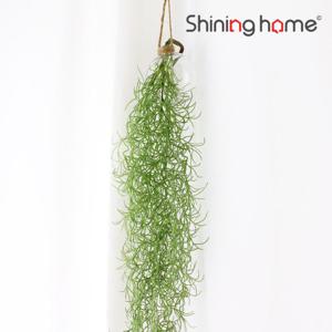 이너스 조화 틸란드시아 바인(수염) 1P