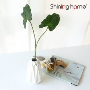 이너스 조화 미니 안시리움 1P