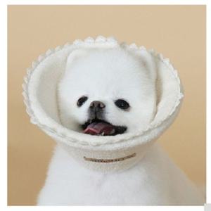 고양이넥카라 애견 카라 오가닉 넥카라 목보호대 강아지 뱃칼라