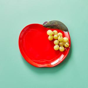 [모던하우스] 레몬코스타 사과 모양 멜라민 접시