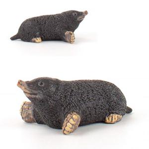 파포 동물학습 모형완구 두더지 50265