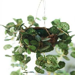 장식조화 싱그러운 초록색이 돋보이는 더가든 하트체인 바구니