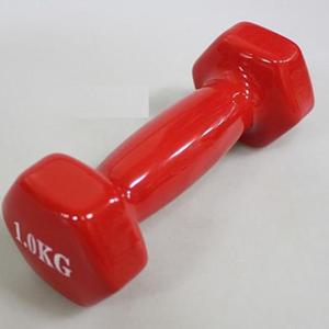 아령 1Kg 헬스 홈트레이닝 웨이트 덤벨 운동 아령