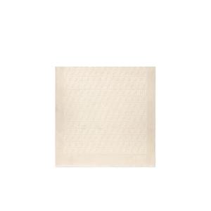 25SS Fendi 여성 스카프 FXT185ANBEF0NH8 TP573979483