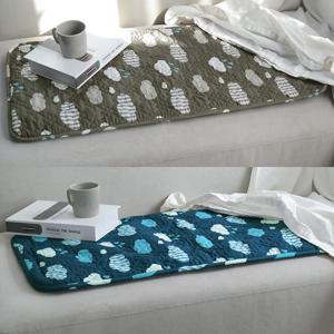 디누스 한일전기 양면 구르미 2인용 전기방석 2컬러 44x87cm