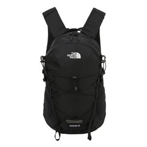 [노스페이스] 노스페이스 NM2TR08A 남여공용 어센드 라이트 15L 백팩 등산 가방 KR NM2TR08