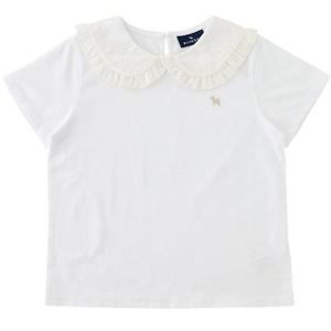 [블루독]블루독 레이스 카라 반팔 티셔츠(24315-332-57)_WH