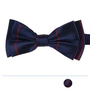 레드라인 스트라이프 보타이