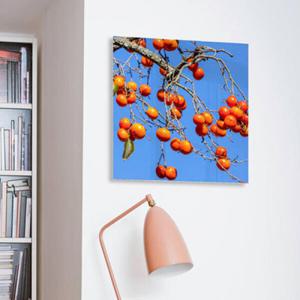 아트박스/꾸밈 tc202-아크릴액자_돈들어오는감그림(중형)