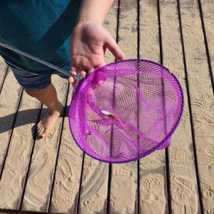 안테나 접이식 잠자리채 매미채 곤충채 집 집기