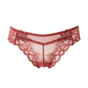 비너스  데이지 레이스 티팬티(OPT5941T)