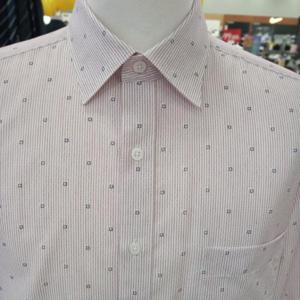 트레몰로 HC10 2024 베이직 드레스셔츠 TGBTL4S1421