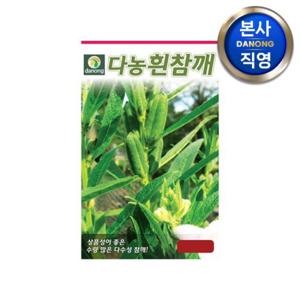 흰참깨 씨앗 3000립 . 야채 채소 텃밭 파종 재배 주말 농장 씨 종자.