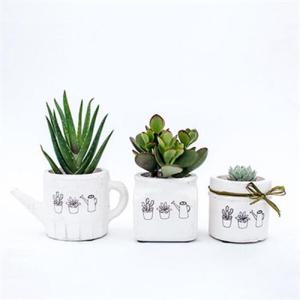 아트박스/러브피어리 가드닝 미니다육화분[3종세트]