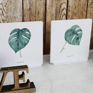 아트박스/꾸밈 pa834-스탠드액자2P_보테니컬아트