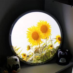 아트박스/꾸밈 no274-LED액자35R_맑은하늘해바라기