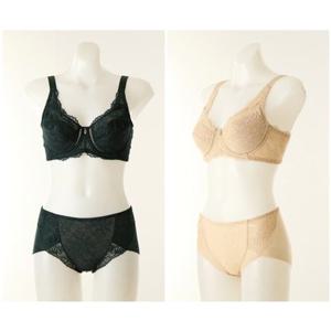 [비너스 란제리] (VGBM150C D+VPTM150H) 가슴과 등살을 잘 잡아주는 레이스보정브라 햄라인 팬티SE VGBM150CD000