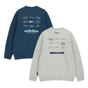 [내셔널지오그래픽키즈]K254USW910 백그래픽 맨투맨 (기모) 2종택1