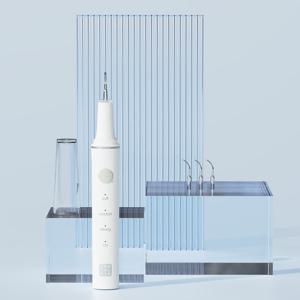 덴탈픽 초음파 가정용 셀프 구강청결기 치아세정 치아관리