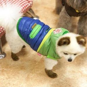 [반려] 패리스독 강이지 고양이 트라이앵글 패딩