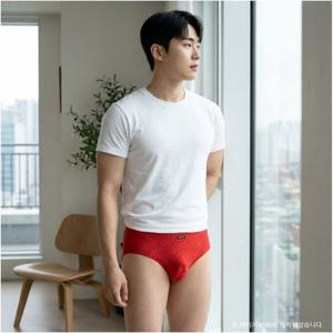 [비비안] 특별한 지브라패턴의 남성 삼각팬티 3종 세트 PT2100G