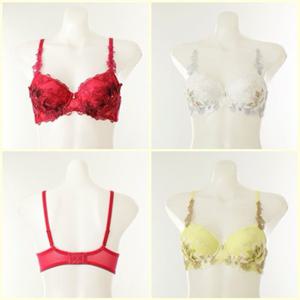 [와코루 란제리] 살루트 오리엔탈 아플리케모티브 패드브라 DBR0473C