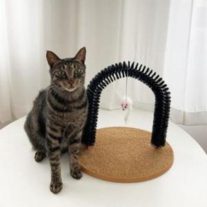 고양이마사지 그루밍 마사지 뚜또가또 셀프 브러쉬 고양이 아치형