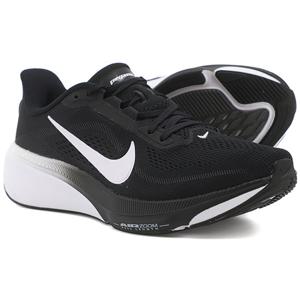 나이키 W 페가수스 42 (IB1881-001)