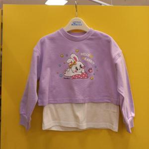 리틀밥독 HC11 달콤별티 H251MWP19