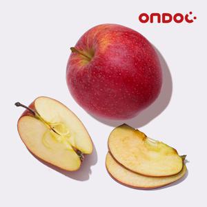 [온도씨]영주 고당도 꿀사과 실속 24과내 5kg